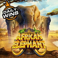 African Elephant Pragmatic Play di SBOBETMAIN